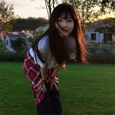 假元首秘纪